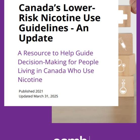 Canada’s Lower Risk Nicotine Use Guidelines, Update, by CAMH Intrepid Lab thumbnail